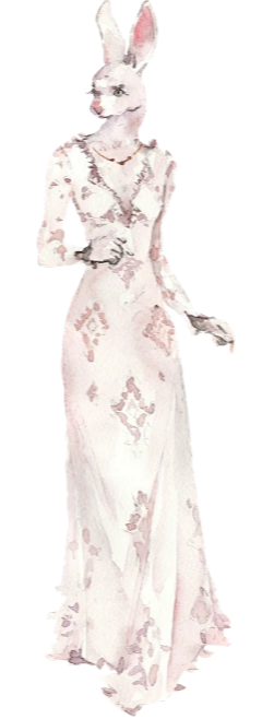 兔子角色插画